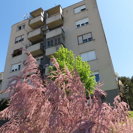 Ferienwohnung Pineta25 Pula Exterior foto
